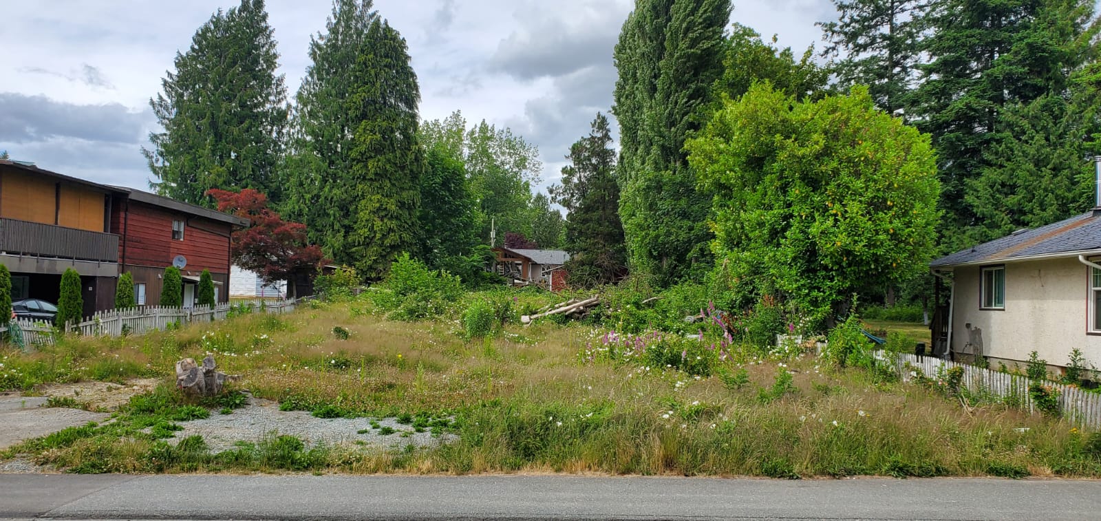 33877 Mayfair Avenue, Abbotsford 2